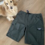 わんこ社長の日常｜Mizクリーンの看板犬｜ミニチュアダックス