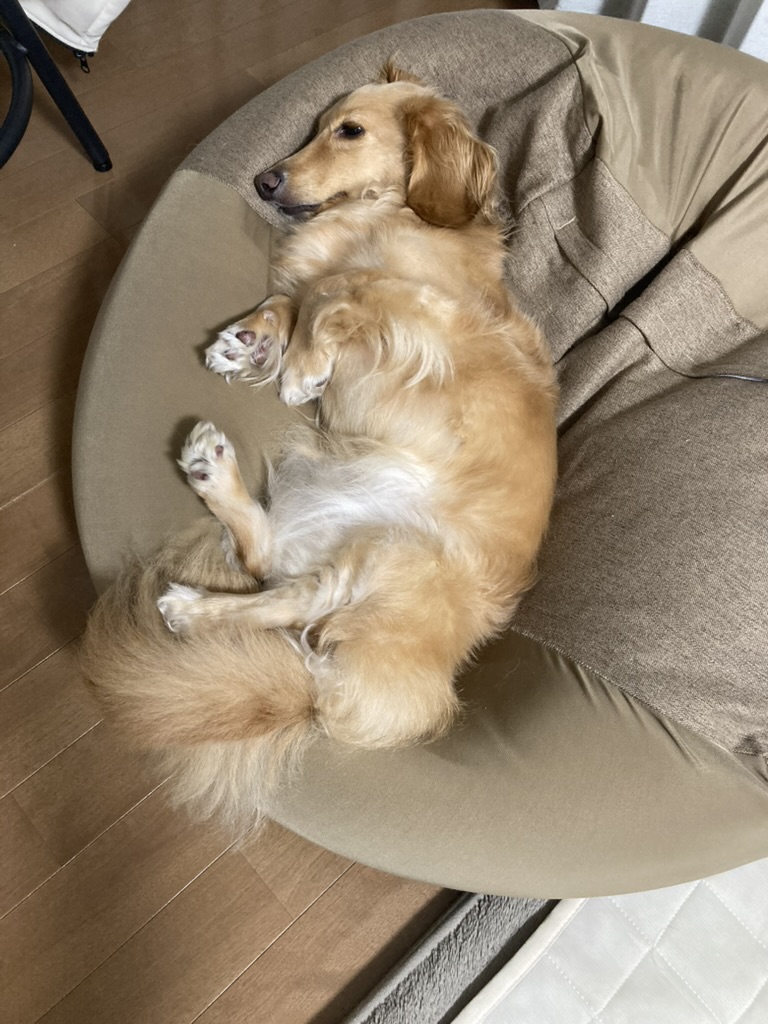 雷が鳴ってもガン無視